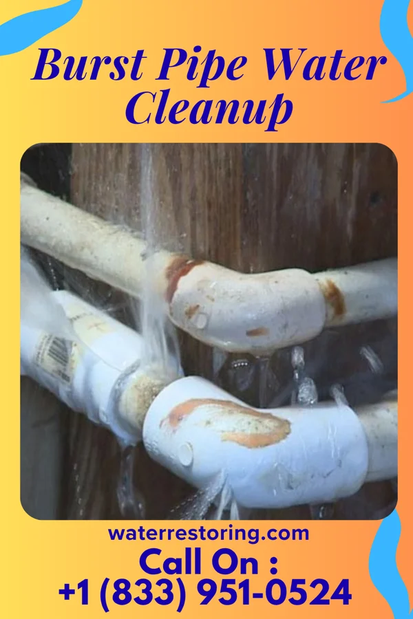 Burst Pipe Water Cleanup in Gaines, MI