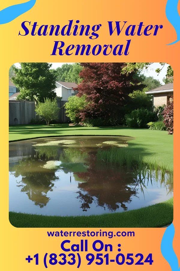 Standing Water Removal in Gaines, MI